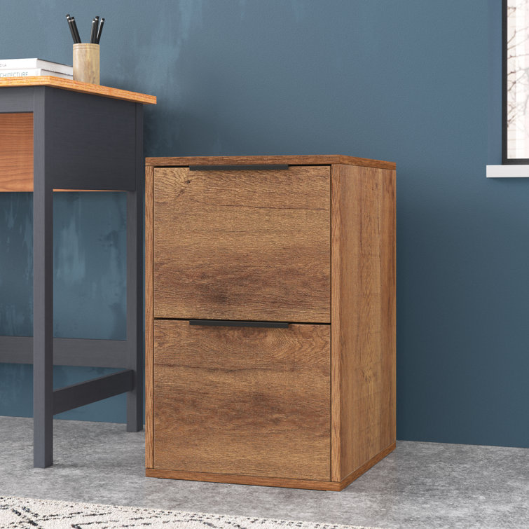 Steelside™ Tia 15'' Wide 2 Drawer Vertical Filing & Reviews